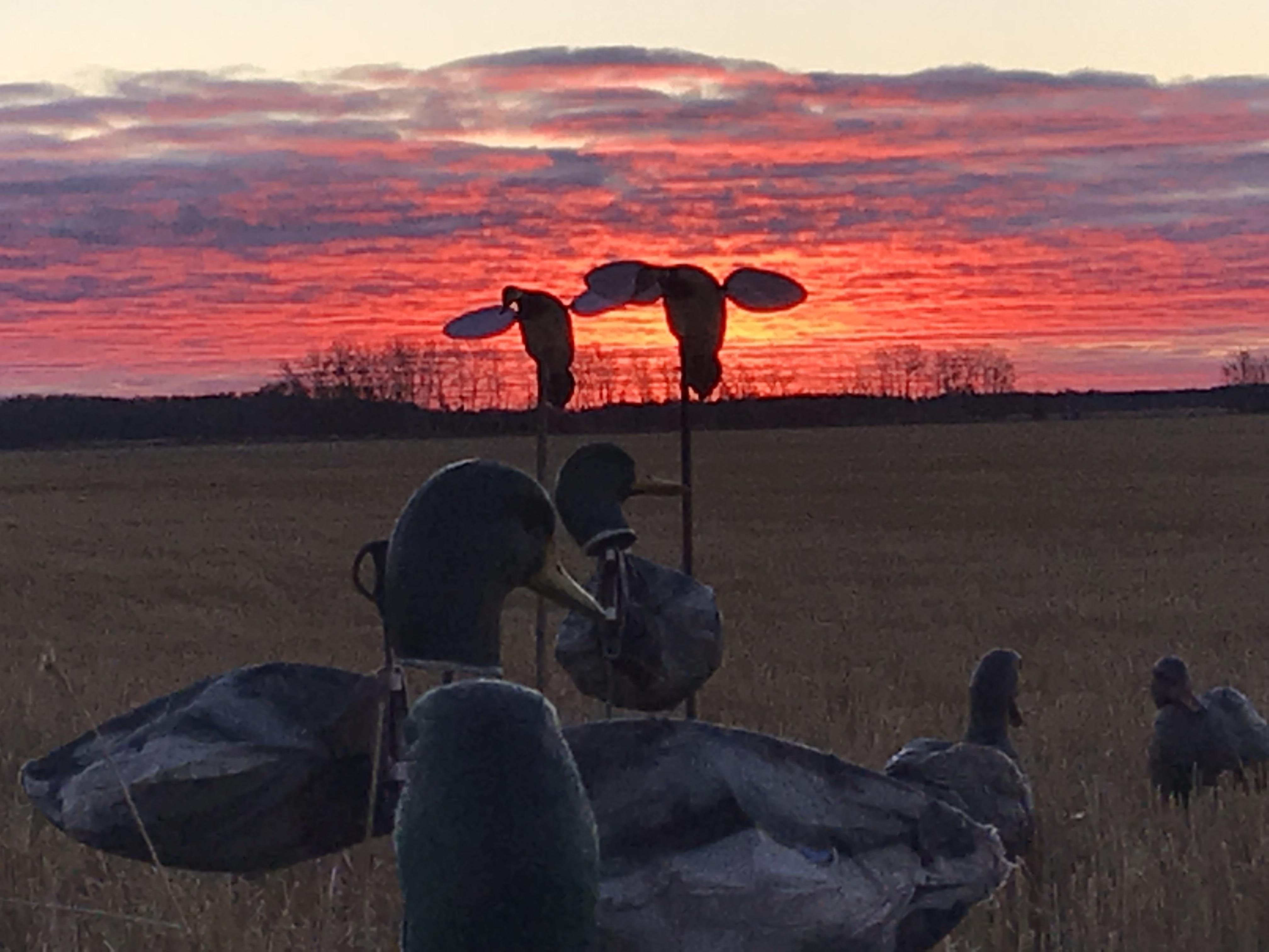 Top Gun Guide Service CastnBlast Advisor